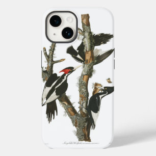 Funda Para iPhone 14 De Case-Mate Audobon Extinct Ivory Woodpecker
