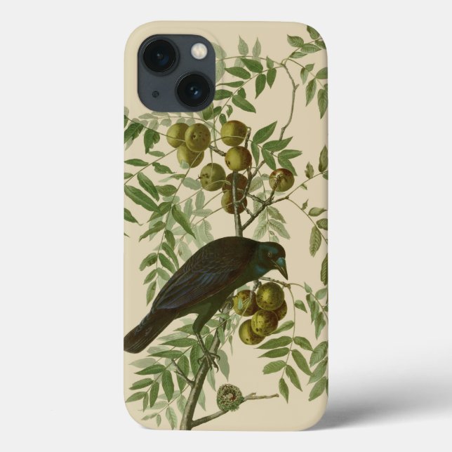Funda De Case-Mate Para iPhone Audubon American Crow Black Bird (Reverso)