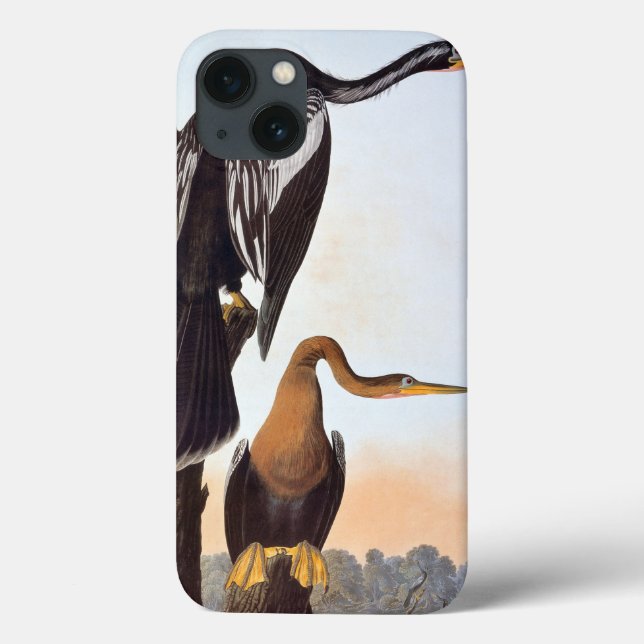 Funda De Case-Mate Para iPhone Audubon: Anhinga (Reverso)