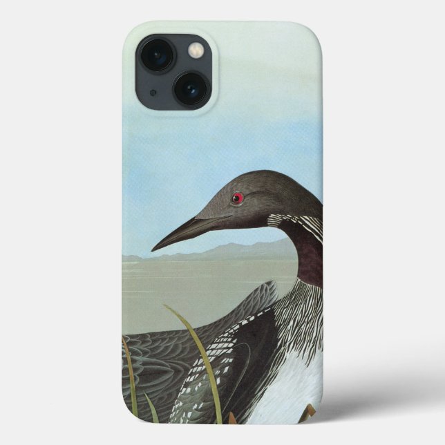 Funda De Case-Mate Para iPhone Audubon: Bribón ártico (Reverso)