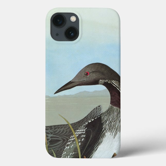 Funda De Case-Mate Para iPhone Audubon: Bribón ártico (Reverso)