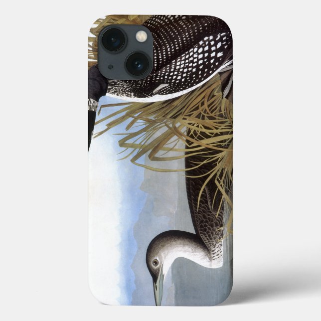 Funda De Case-Mate Para iPhone Audubon: Bribón común (Reverso)