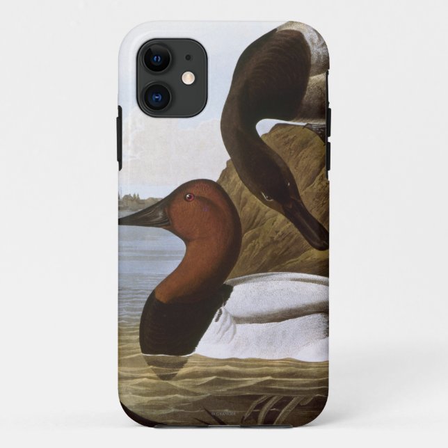 Funda De Case-Mate Para iPhone Audubon: Canvasback (Reverso)