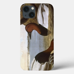 Funda Para iPhone 13 Audubon: Canvasback