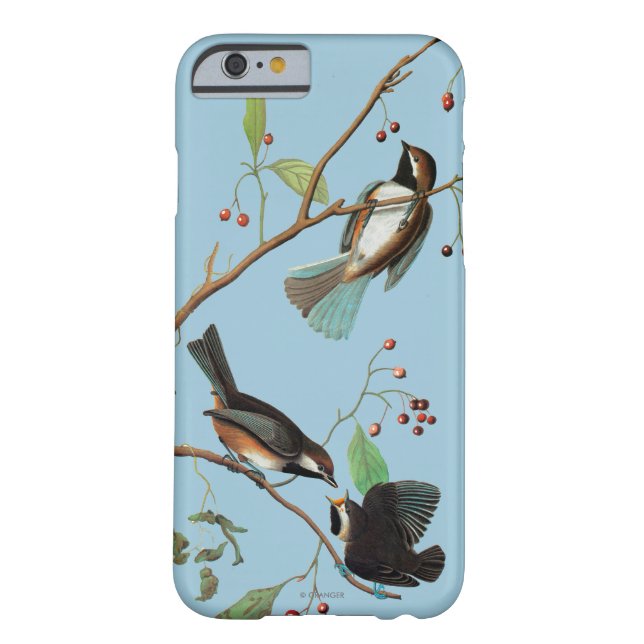 Funda De Case-Mate Para iPhone Audubon: Chickadee (Reverso)