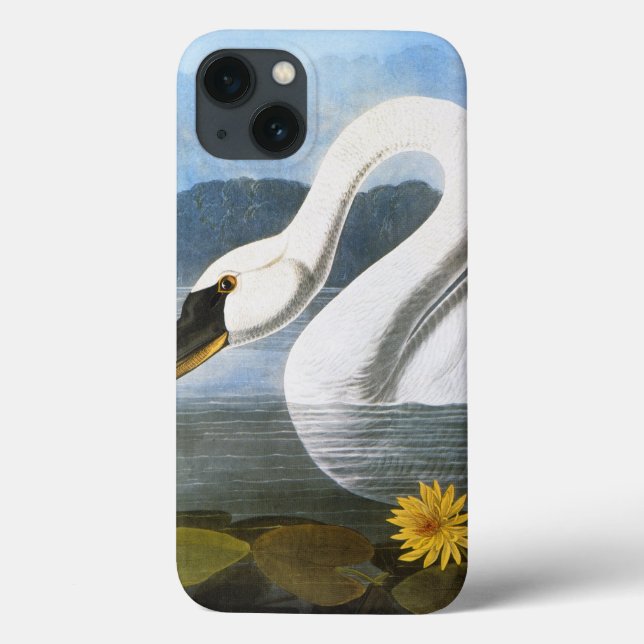 Funda De Case-Mate Para iPhone Audubon: Cisne común (Reverso)