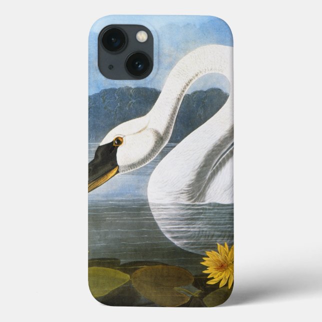 Funda De Case-Mate Para iPhone Audubon: Cisne común (Reverso)
