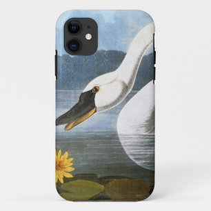 Funda Para iPhone 11 Audubon: Cisne común