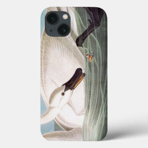 Funda Para iPhone 13 Audubon: Cisne de trompetista