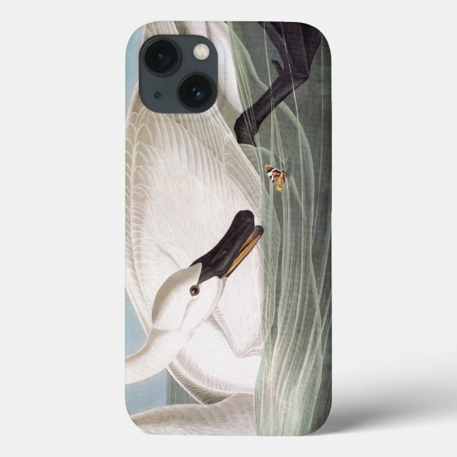 Funda De Case-Mate Para iPhone Audubon: Cisne de trompetista (Reverso)