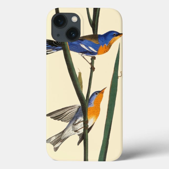 Funda De Case-Mate Para iPhone Audubon: Curruca (Reverso)