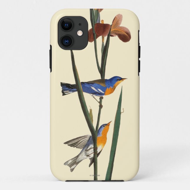 Funda De Case-Mate Para iPhone Audubon: Curruca (Reverso)