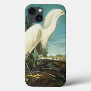 title_seo2 Audubon: Egret