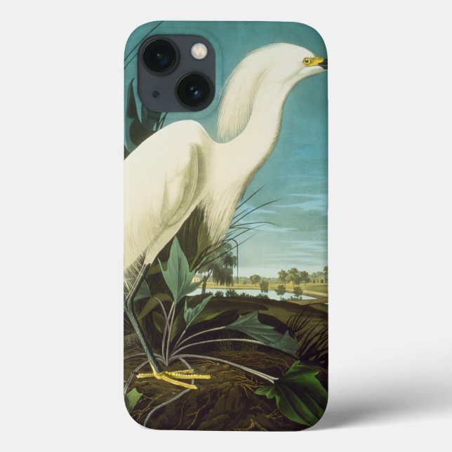 Funda De Case-Mate Para iPhone Audubon: Egret (Reverso)