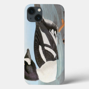 Funda Para iPhone 13 Audubon: El Goldeneye de la carretilla
