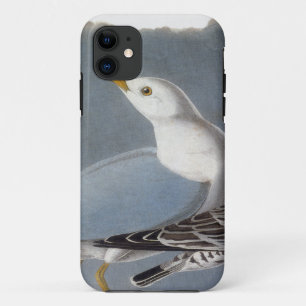 Funda Para iPhone 11 Audubon: Gaviota Anillo-Cargada en cuenta