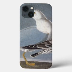 Funda Para iPhone 13 Audubon: Gaviota Anillo-Cargada en cuenta