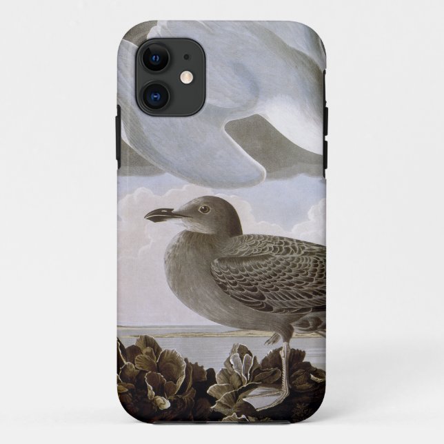 Funda De Case-Mate Para iPhone Audubon: Gaviota de arenques (Reverso)