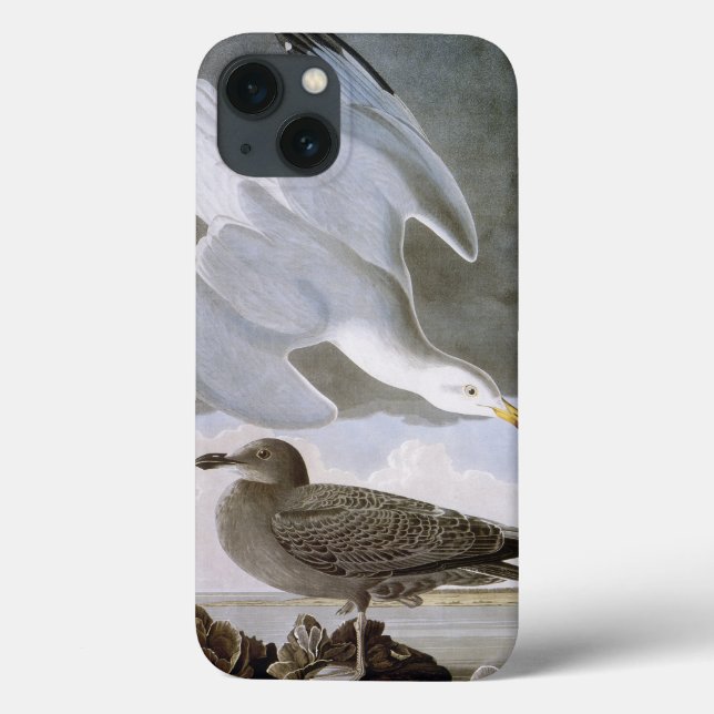 Funda De Case-Mate Para iPhone Audubon: Gaviota de arenques (Reverso)