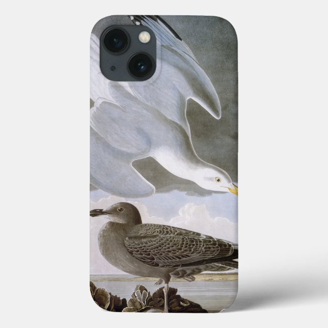 Funda De Case-Mate Para iPhone Audubon: Gaviota de arenques (Reverso)