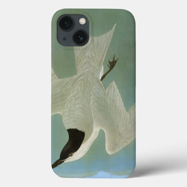 Funda De Case-Mate Para iPhone Audubon: Golondrina de mar Gaviota-Cargada en (Reverso)