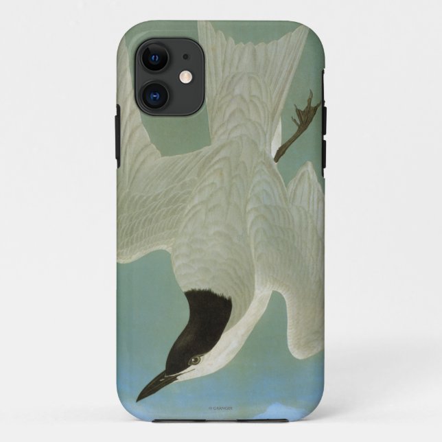 Funda De Case-Mate Para iPhone Audubon: Golondrina de mar Gaviota-Cargada en (Reverso)