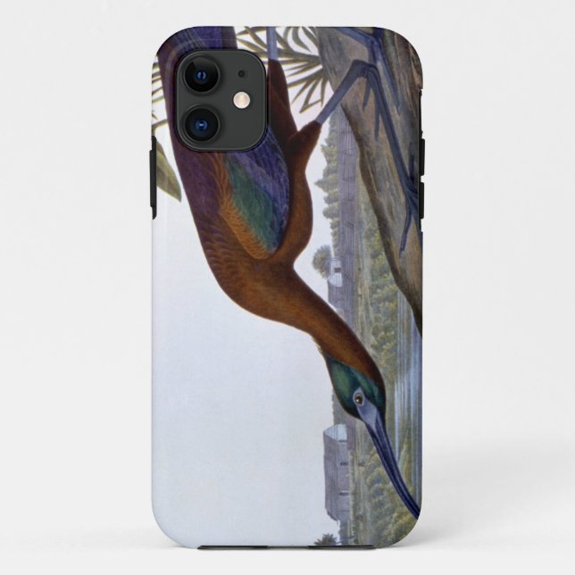 Funda De Case-Mate Para iPhone Audubon: Ibis brillante (Reverso)