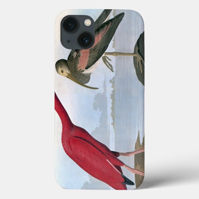 Funda De Case-Mate Para iPhone Audubon: Ibis escarlata (Reverso)