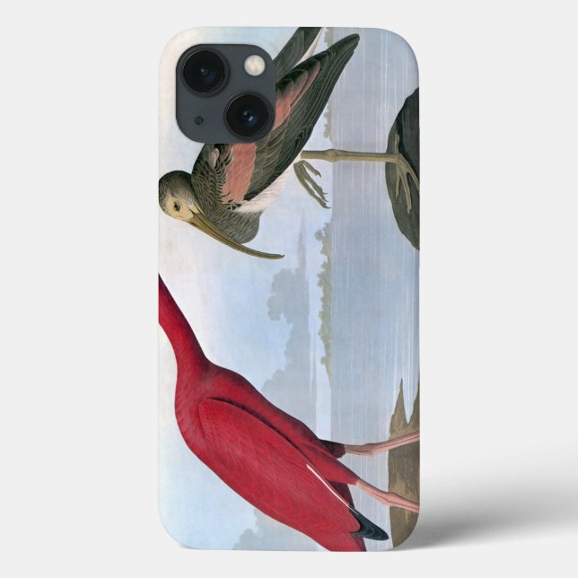 Funda De Case-Mate Para iPhone Audubon: Ibis escarlata (Reverso)