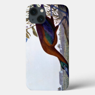 Funda Para iPhone 13 Audubon: Ibis Glossy