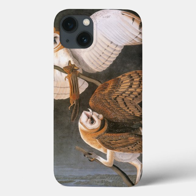 Funda De Case-Mate Para iPhone Audubon: Lechuza Barn (Reverso)
