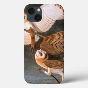 Funda Para iPhone 13 Audubon: Lechuza Barn