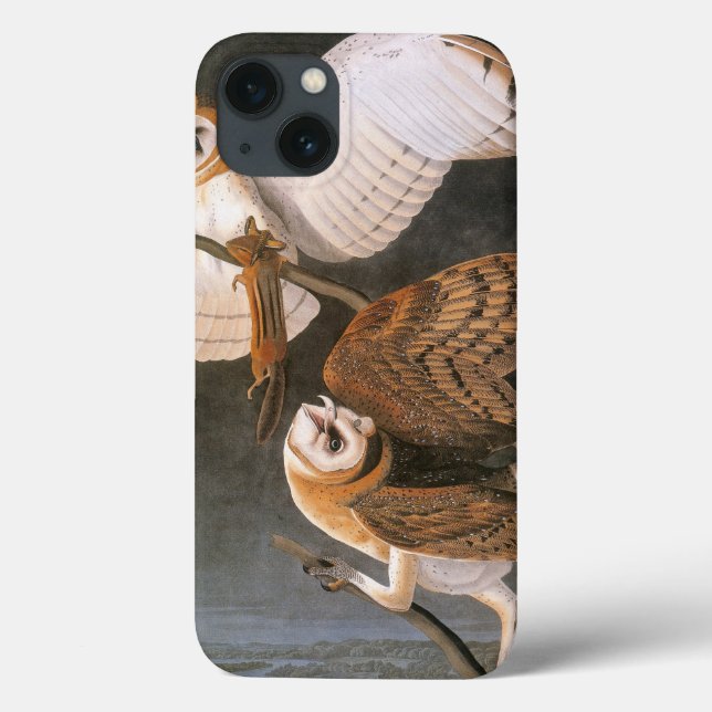 Funda De Case-Mate Para iPhone Audubon: Lechuza Barn (Reverso)