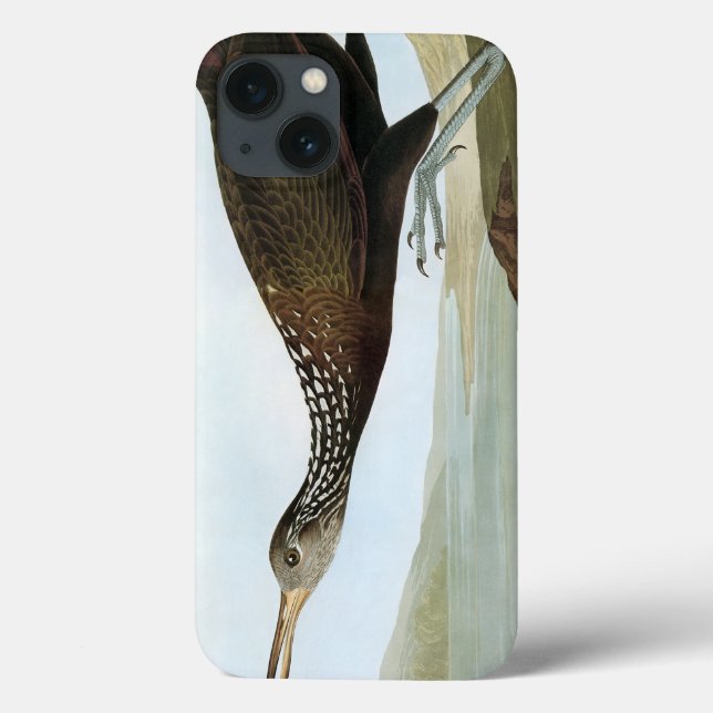 Funda De Case-Mate Para iPhone Audubon: Limpkin (Reverso)