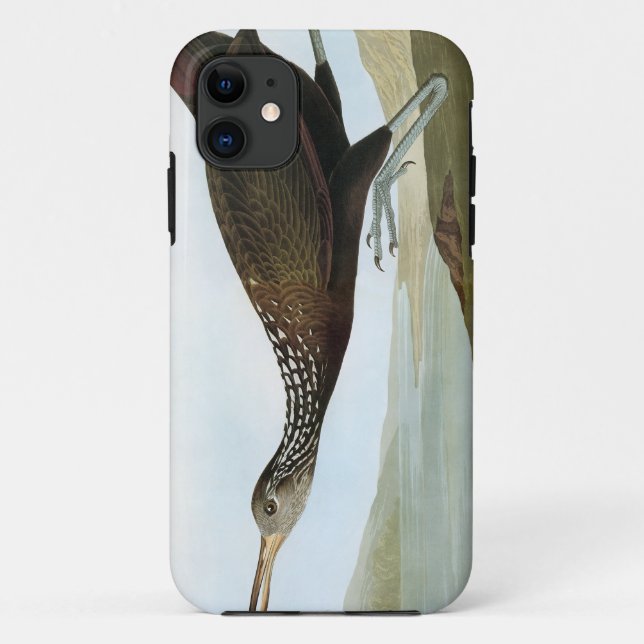 Funda De Case-Mate Para iPhone Audubon: Limpkin (Reverso)