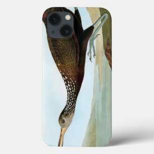 Funda Para iPhone 13 Audubon: Limpkin