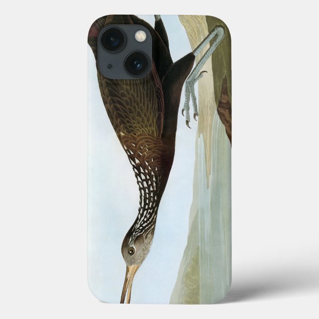 Funda De Case-Mate Para iPhone Audubon: Limpkin (Reverso)