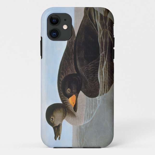 Funda De Case-Mate Para iPhone Audubon: Negreta negra (Reverso)