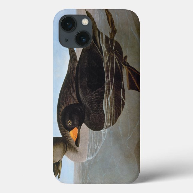 Funda De Case-Mate Para iPhone Audubon: Negreta negra (Reverso)