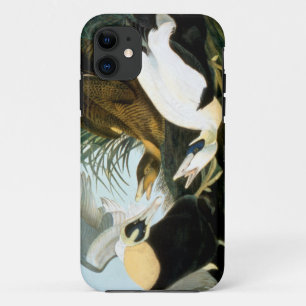 Funda Para iPhone 11 Audubon: Pato de eíder