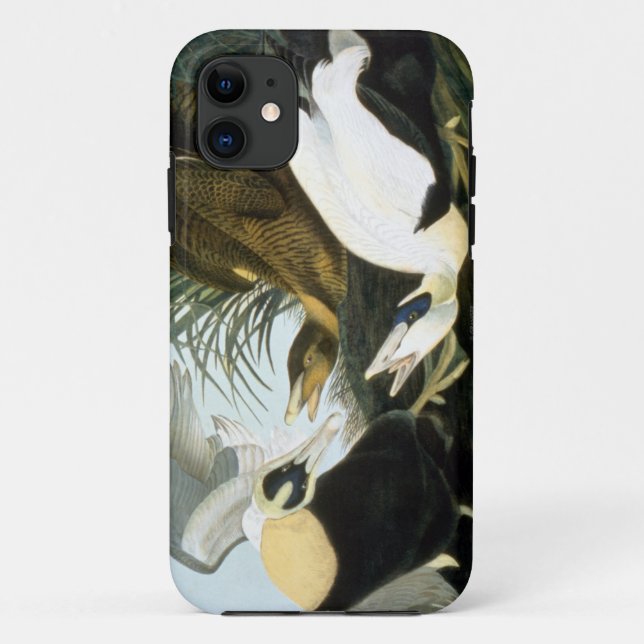 Funda De Case-Mate Para iPhone Audubon: Pato de eíder (Reverso)