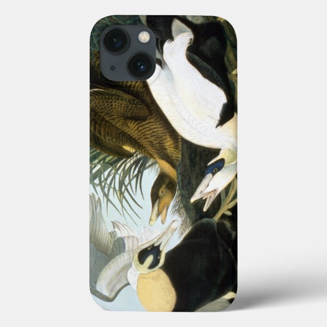 Funda De Case-Mate Para iPhone Audubon: Pato Eider (Reverso)