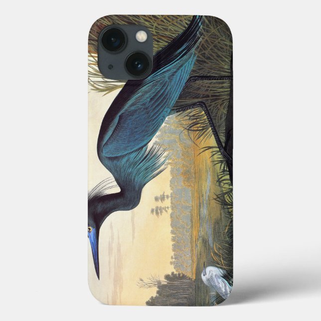 Funda De Case-Mate Para iPhone Audubon: Pequeña Perla Azul (Reverso)