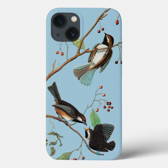 Funda De Case-Mate Para iPhone Audubon: Pollo (Reverso)