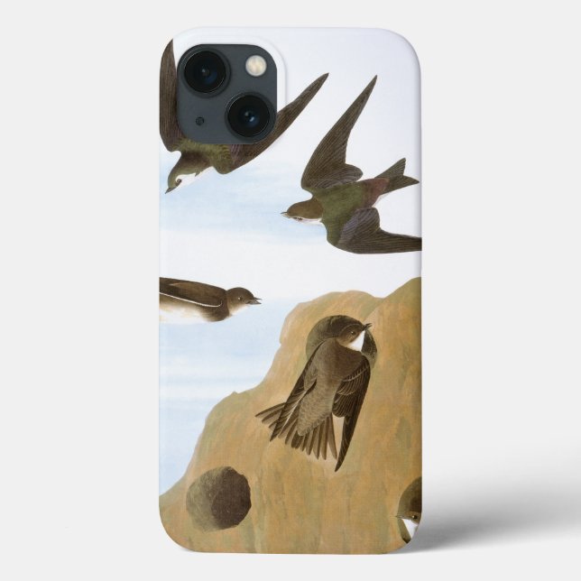 Funda De Case-Mate Para iPhone Audubon: Tragos (Reverso)