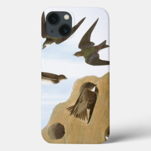 Funda Para iPhone 13 Audubon: Tragos