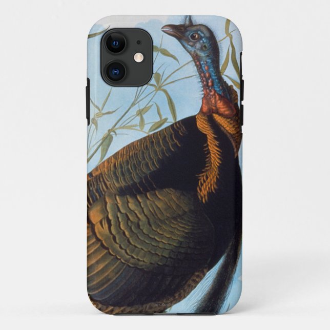 Funda De Case-Mate Para iPhone Audubon: Turquía salvaje (Reverso)