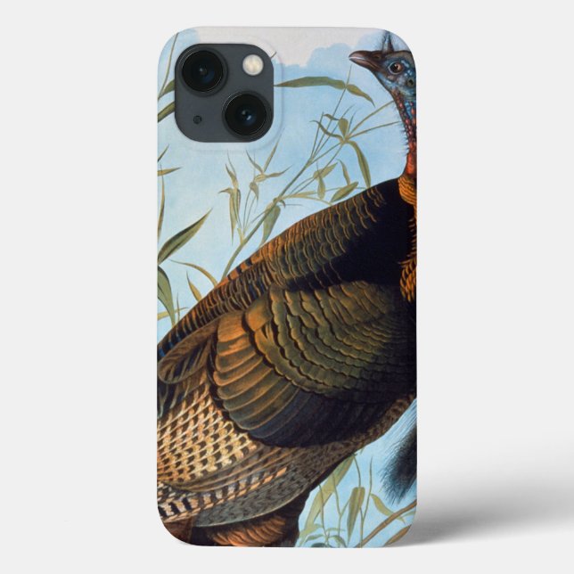 Funda De Case-Mate Para iPhone Audubon: Turquía salvaje (Reverso)