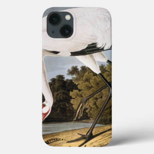 Funda Para iPhone 13 Audubon: Whooping Crane