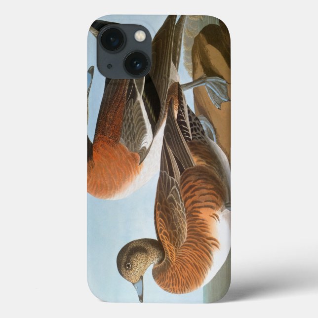 Funda De Case-Mate Para iPhone Audubon: Wigeon (Reverso)